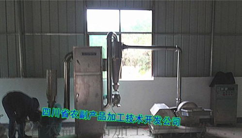 顆粒藕粉、速溶藕粉及復合藕粉設備的技術開發與應用
