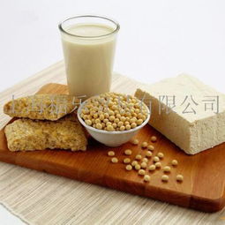 福樂食品貿易 產品展示、國內代理與市場口碑深度解析