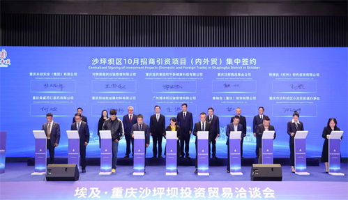 重慶沙坪壩投資貿易洽談會成功舉行，簽約6個對非經貿合作項目助力信息咨詢服務升級